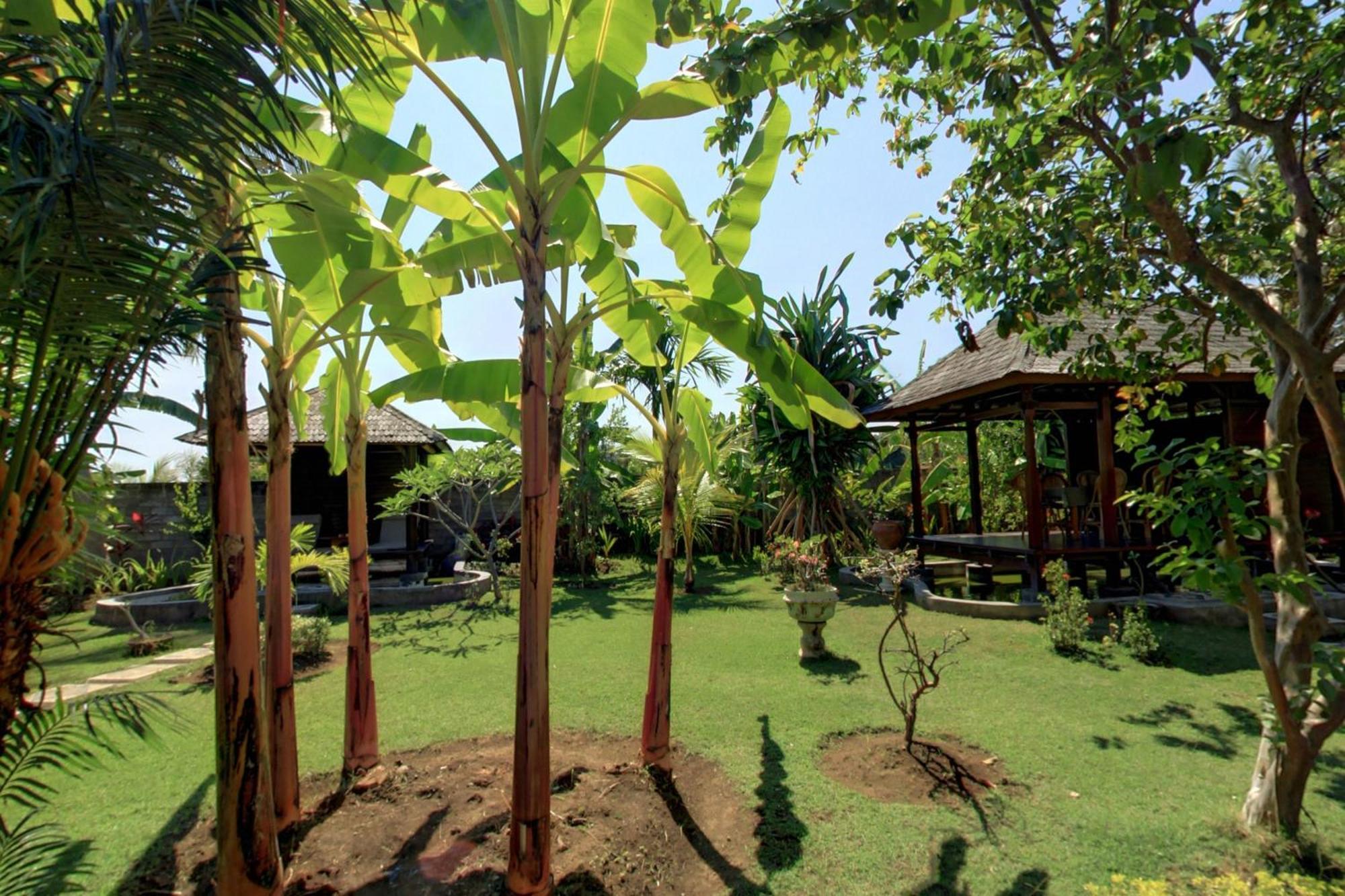 Sawah Lovina Exterior foto